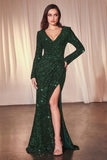 LONG SLEEVE SEQUIN FITTED DRESS