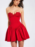 SASHA RED LACE BUSTIER MINI DRESS