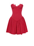 SASHA RED LACE BUSTIER MINI DRESS