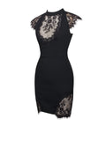 QUINELLA BLACK LACE BLACKLESS MINI DRESS