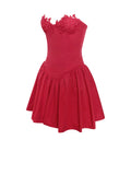 SASHA RED LACE BUSTIER MINI DRESS