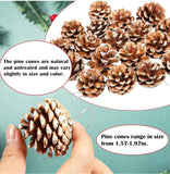 24 PIECE PINE CONE CHRISTMAS ORNAMENTS