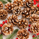 24 PIECE PINE CONE CHRISTMAS ORNAMENTS