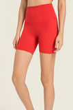 SEAMLESS HIGH RISE BIKER SHORTS