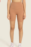 SEAMLESS HIGH RISE BIKER SHORTS