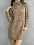 TURTLENECK SWEATER DRESS