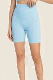 SEAMLESS HIGH RISE BIKER SHORTS